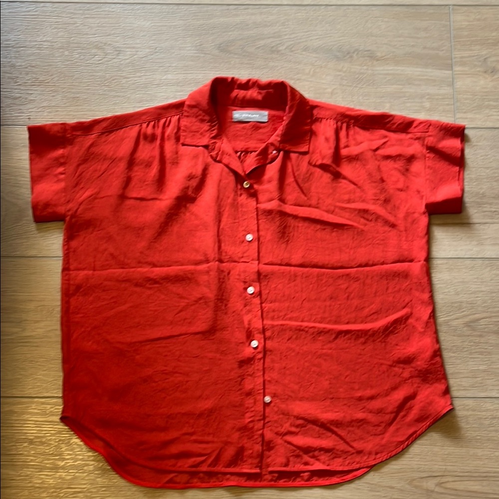 Everlane washable goweave silk like shirt